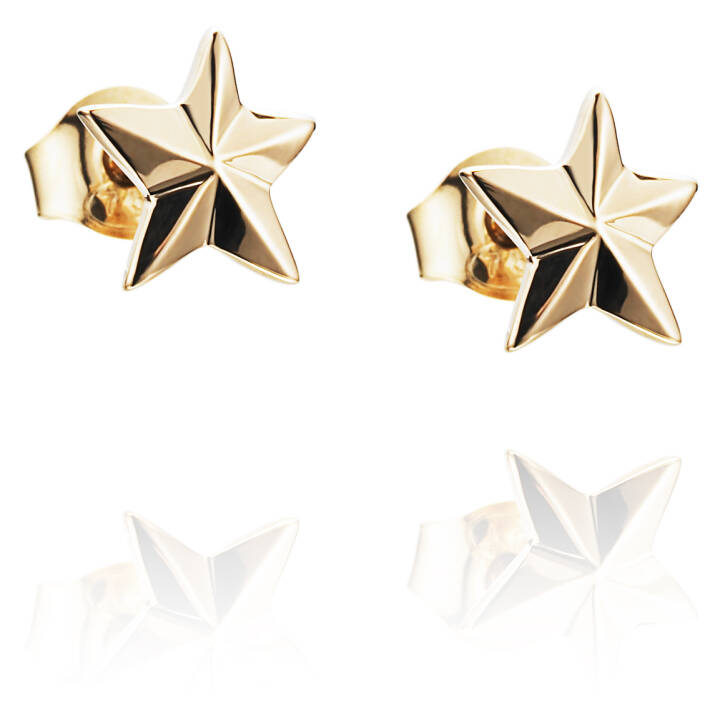 Catch A Falling Star Orecchino Oro nel gruppo Orecchini / Orecchini d'oro presso SCANDINAVIAN JEWELRY DESIGN (12-101-00882-0000)