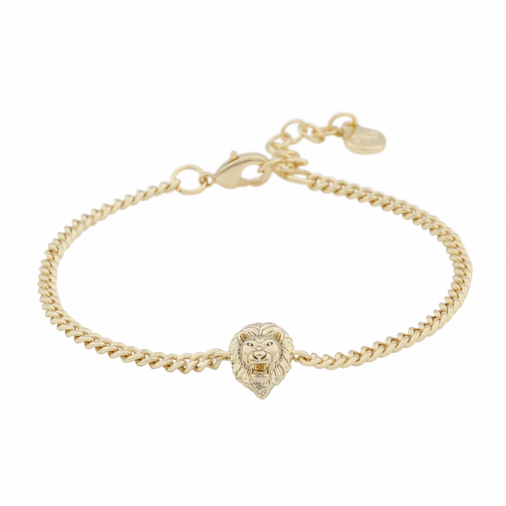 Oz lion chain brace plain Gold-Onesize nel gruppo Bracciali / Bracciali d'oro presso SCANDINAVIAN JEWELRY DESIGN (1286-3400-257-ONE)