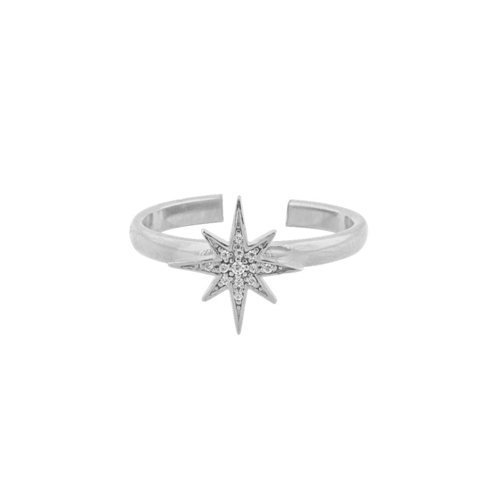 One star Anello Argento nel gruppo Anelli / Anelli d'argento presso SCANDINAVIAN JEWELRY DESIGN (1631511001)