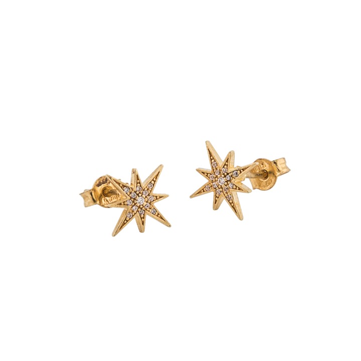 One star Orecchino Oro nel gruppo Orecchini / Orecchini d'oro presso SCANDINAVIAN JEWELRY DESIGN (1632421001)