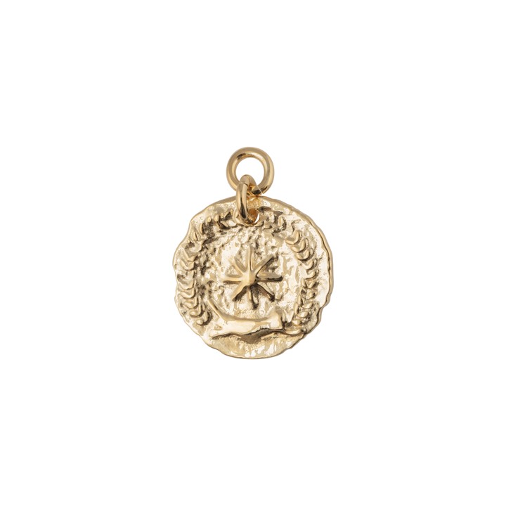 Victory coin pendant Oro nel gruppo Collane / Collane d'oro presso SCANDINAVIAN JEWELRY DESIGN (1923020001)