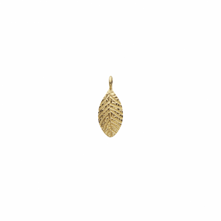 Letters/Lingonberry small pend Oro nel gruppo Collane / Collane d'oro presso SCANDINAVIAN JEWELRY DESIGN (2226620004)