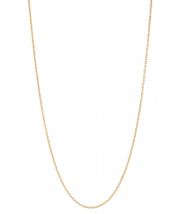 Chain 50 Adjustable Necklace 50 Goldplated Silver (One) nel gruppo Collane / Collane d'oro presso SCANDINAVIAN JEWELRY DESIGN (300370YG-50)