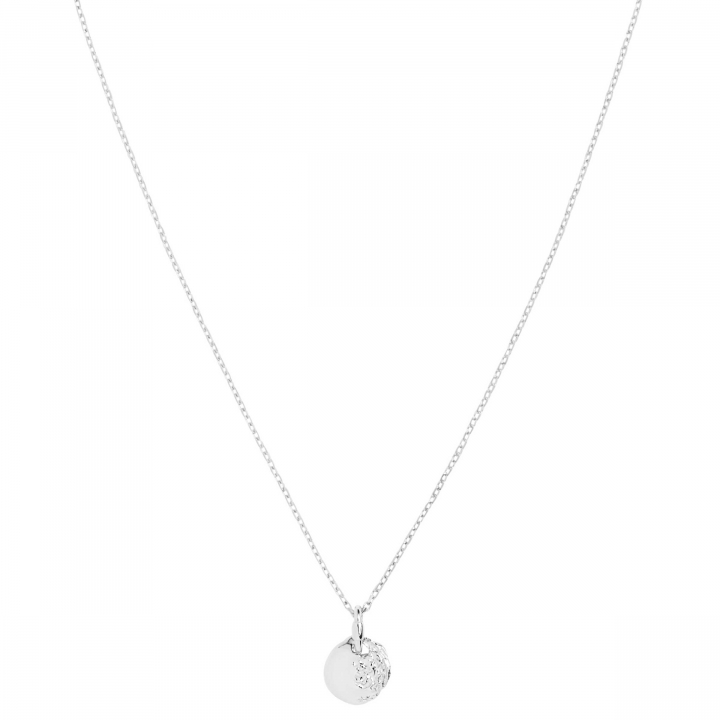 Aspen 50 Necklace Silver (One) nel gruppo Collane / Collane d'argento presso SCANDINAVIAN JEWELRY DESIGN (300460AG-50)