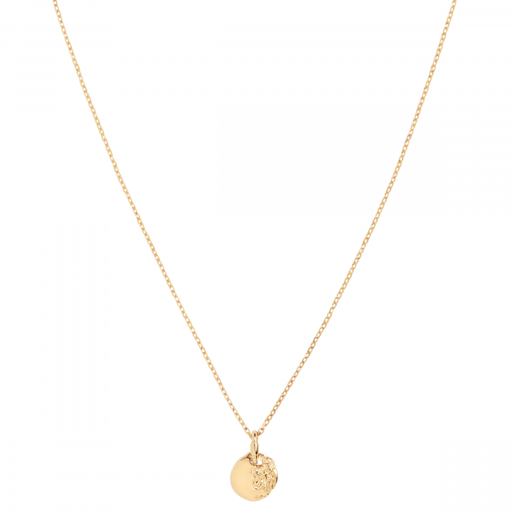 Aspen 50 Necklace Goldplated Silver (One) nel gruppo Collane / Collane d'oro presso SCANDINAVIAN JEWELRY DESIGN (300460YG-50)