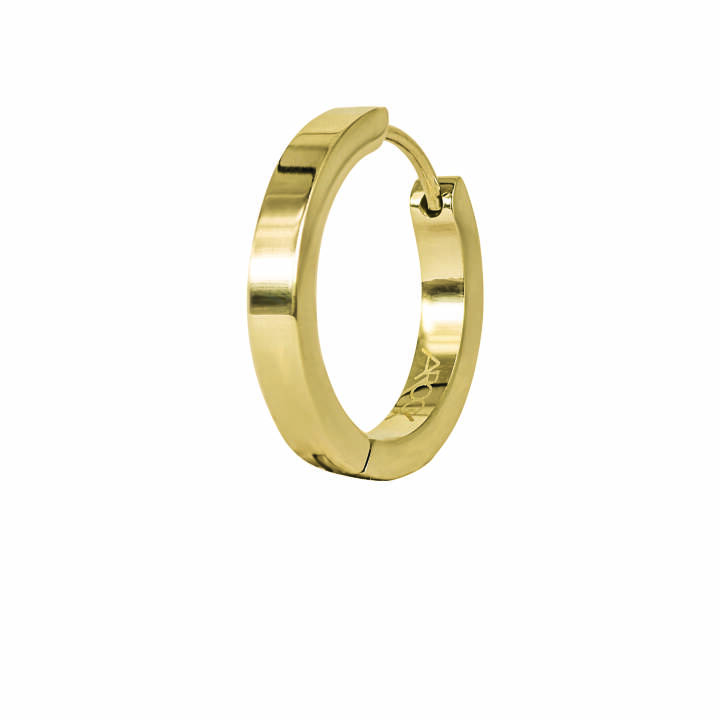 WILLE Orecchini Blankt Oro nel gruppo Orecchini / Orecchini d'oro presso SCANDINAVIAN JEWELRY DESIGN (365694)