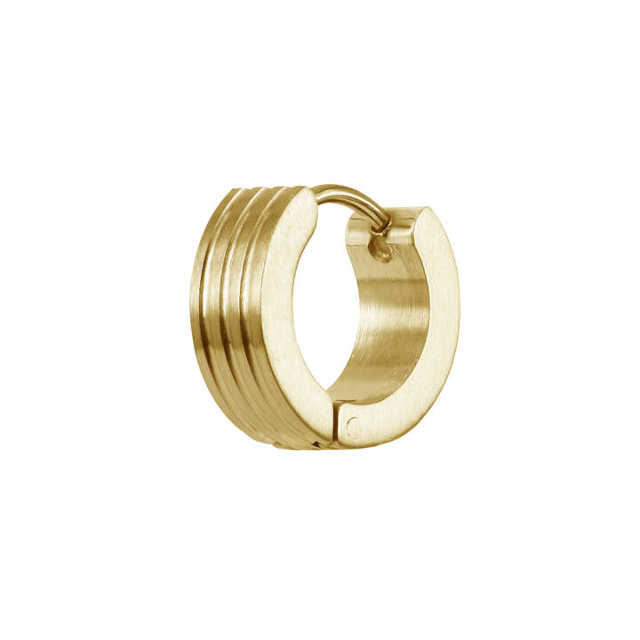 DAVE Orecchini Oro nel gruppo Orecchini / Orecchini d'oro presso SCANDINAVIAN JEWELRY DESIGN (366257)