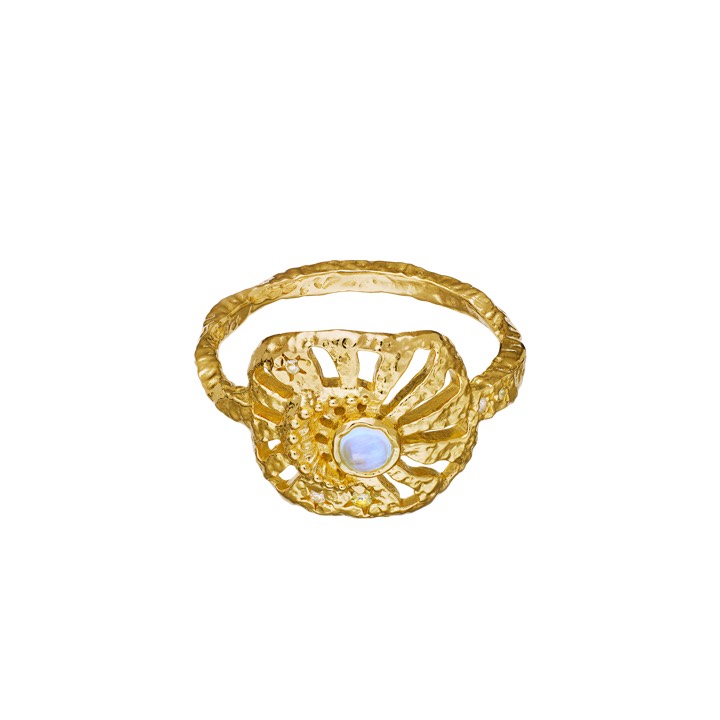 Soluna Anello Oro nel gruppo Anelli / Anelli d'oro presso SCANDINAVIAN JEWELRY DESIGN (4776a)