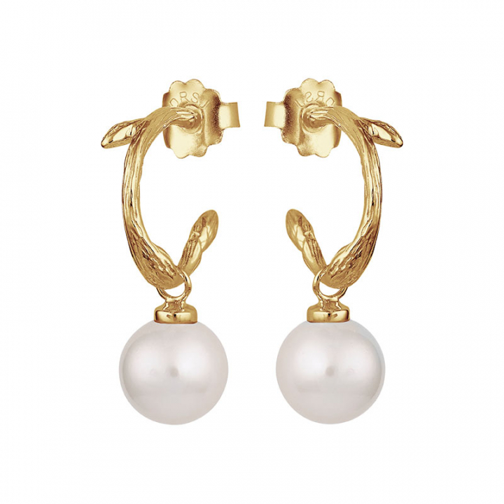 Branch pearl hoops gold nel gruppo Orecchini / Orecchini di perle presso SCANDINAVIAN JEWELRY DESIGN (BAH-E1M200-G)