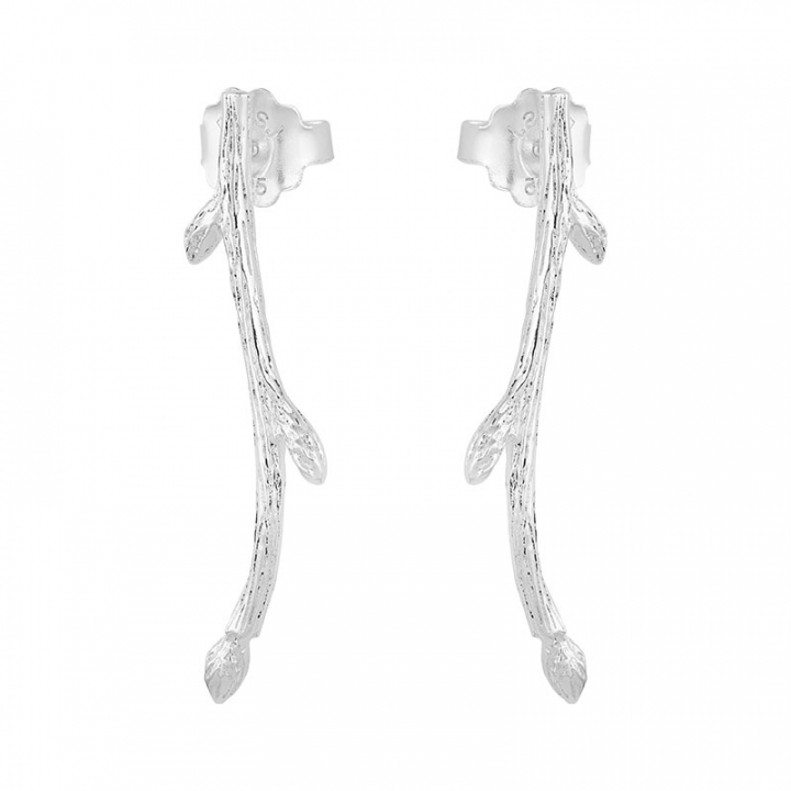 Branch earrings nel gruppo Orecchini / Orecchini d'argento presso SCANDINAVIAN JEWELRY DESIGN (BAH-E2M000-S)