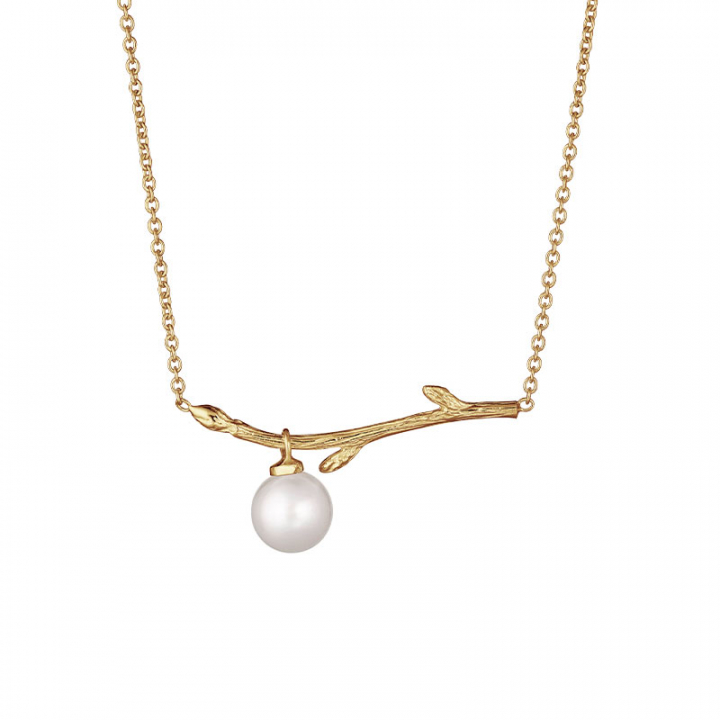 Branch pearl necklace gold nel gruppo Orecchini / Orecchini d'oro presso SCANDINAVIAN JEWELRY DESIGN (BAH-N1M2501-G)