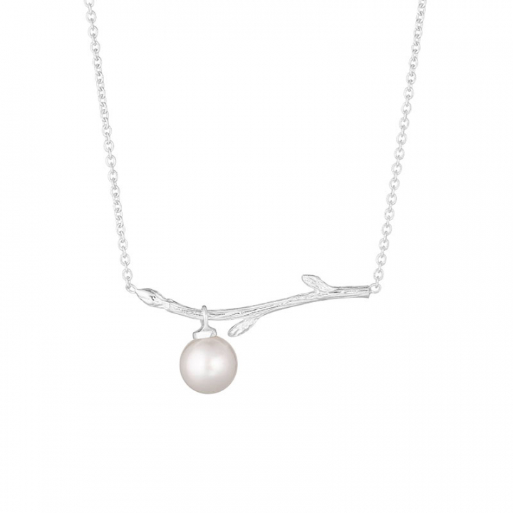 Branch pearl necklace nel gruppo Collane / Collane d'argento presso SCANDINAVIAN JEWELRY DESIGN (BAH-N1M2501-S)