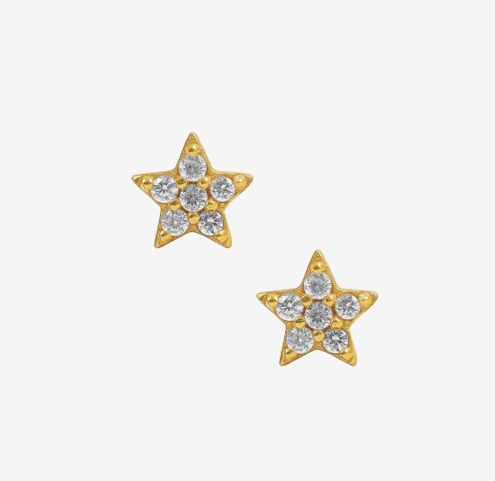 White Star Earstud Oro nel gruppo Orecchini / Orecchini d'oro presso SCANDINAVIAN JEWELRY DESIGN (S05048-G-W)