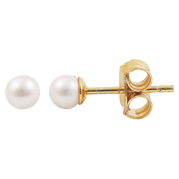 Pearl earsticker Orecchini Oro nel gruppo Orecchini / Orecchini di perle presso SCANDINAVIAN JEWELRY DESIGN (S08256G)